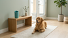 Golden retriever relaxing in a clean home with Mivella PawClean nearby